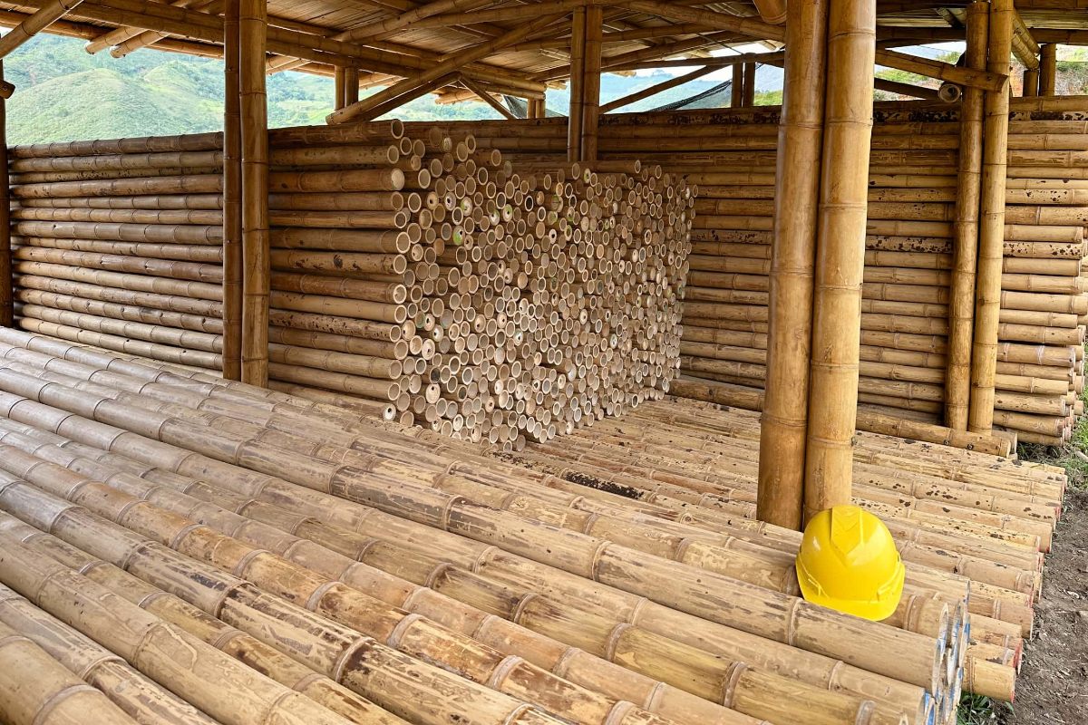 El uso del bambú como material de construcción sostenible