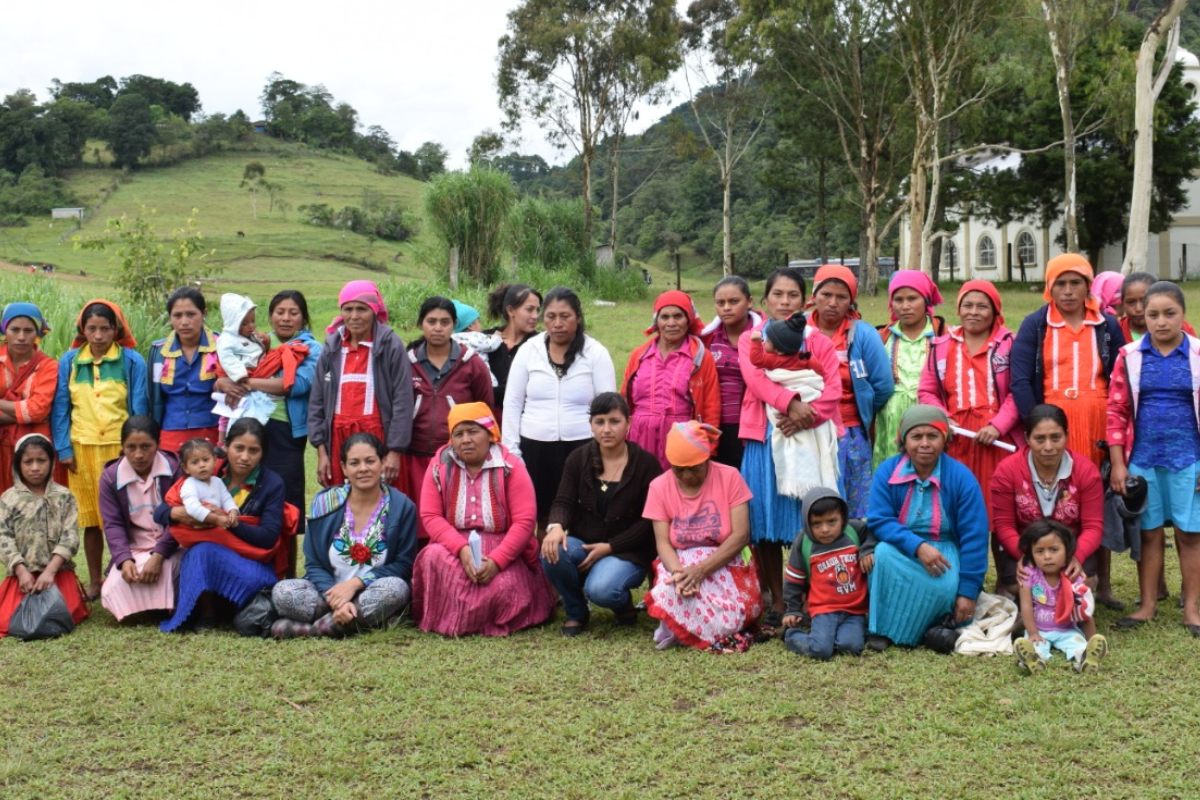 Educación intercultural para la protección ambiental en pueblos indígenas